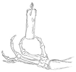 The hand skeleton