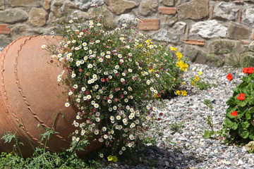 Blume in einer Amphore im Steingarten