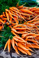 Carrots - 41462191