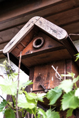 Vogelhaeuschen