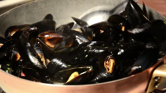 seafood, mussels