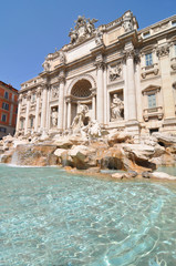 Naklejka premium Fontana di Trevi, Rome