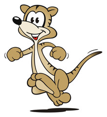 Meerkat running