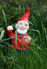 Obraz premium Roter Gartenzwerg in grünem Garten