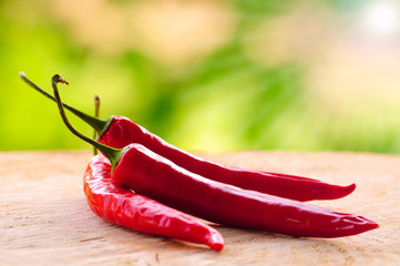 Capsicum annuum