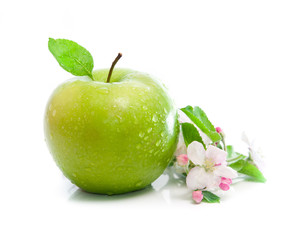 green apple with spring flowers