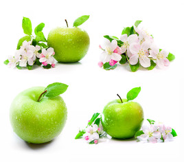 green apple with spring flowers
