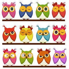 Set of 12 owls with different emotions