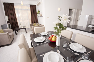 Luxury apartment interior design