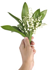 lily of the valley in hand