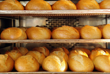 frisch gebackene Br&ouml;tchen