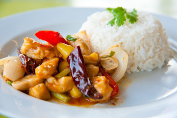 Hot rice with fried pork, onion, chili, vegetables and herbs