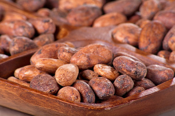 Cocoa beans in a wooden bowl