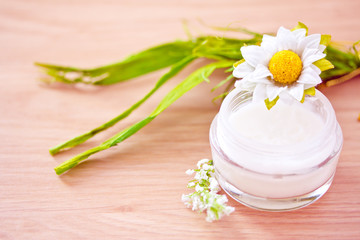 Obraz na płótnie Canvas natural organic beauty lotion/moisturizer