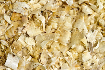 Wood shavings