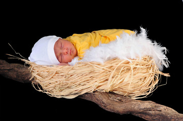 nascita © massimo maghenzani