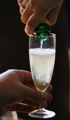 Sekt Glas