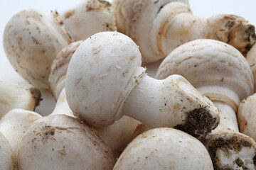 Champignons