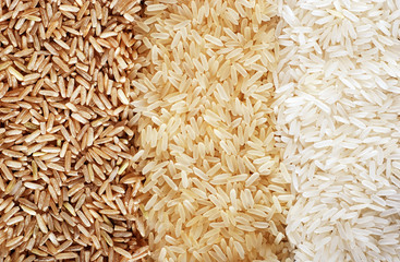 Three rows of rice varieties - brown, wild and white. - 41478737