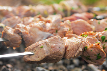 Meat grilling over charcoal