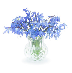 First spring blue  flowers in a small crystal vase