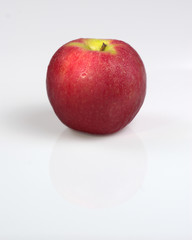 manzana cooperativa