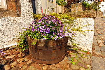 Fototapeta na wymiar Wooden flowerpot with beautiful flowers