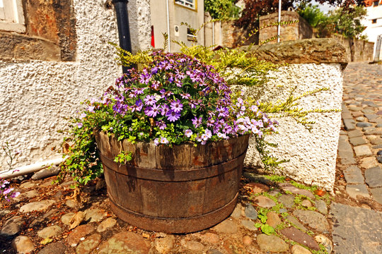 Wooden flowerpot with beautiful flowers