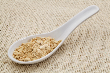 maca root powder on a ceramic spoon