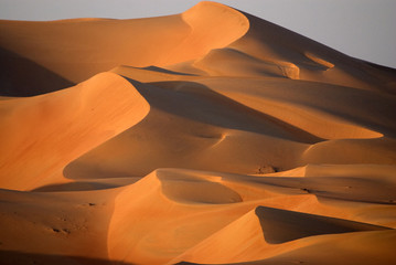Dunes in Abu dhabi - 41484765