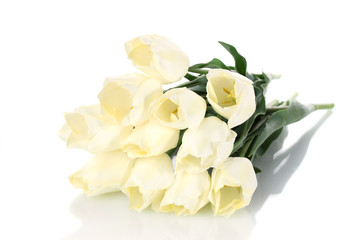 beautiful tulips isolated on white.