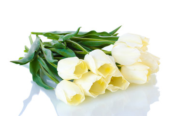 beautiful tulips isolated on white.