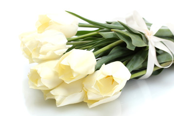 beautiful tulips isolated on white.