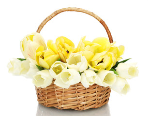 Fototapeta na wymiar beautiful tulips in basket isolated on white.