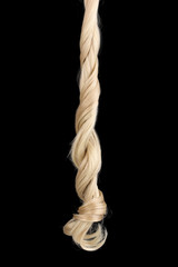 Curly blond hair isolated on black