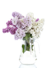 beautiful lilac flowers in glass jar isolated on white
