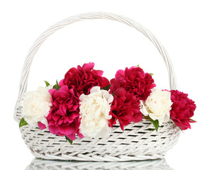 Fototapeta na wymiar piękne różowe i białe piwonie w koszyku z kokardą samodzielnie