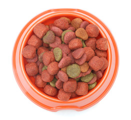 dry dog food in orange bowl  isolated on white