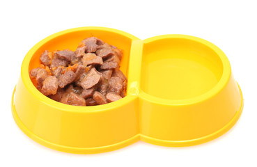 yellow bowl with cat food and water isolated on white