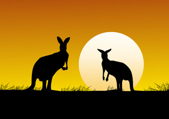 Australia background with kangaroo