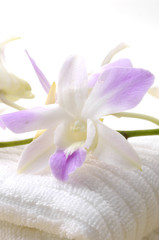 spa towels and orchids