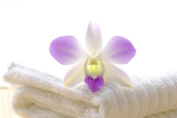 Obraz na płótnie Canvas ręczniki spa i orchidee na białym tle