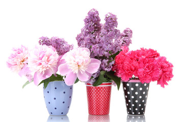 beautiful spring flowers in cups isolated on white