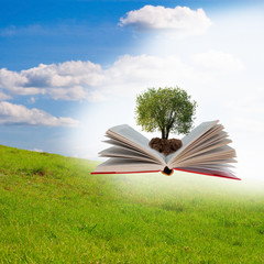 Open book with tree