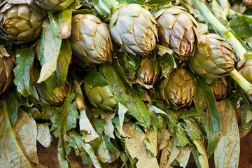 Obraz premium artichoke