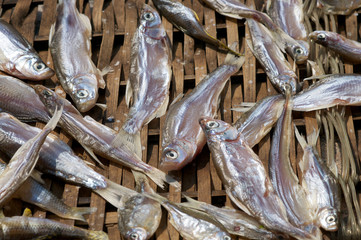 Dried Saled Fish