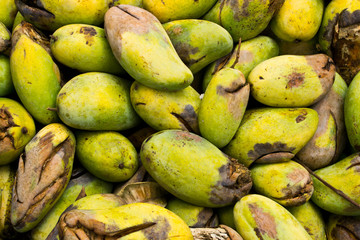 mango