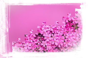 pink flower frame with puzzle of flowers