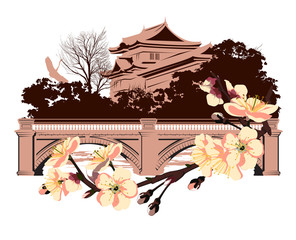 cherry blossom on a background of Japanese house