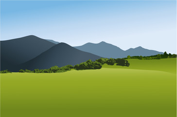 Mountain landscape with green field